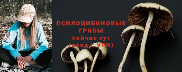 mdpv Бугульма