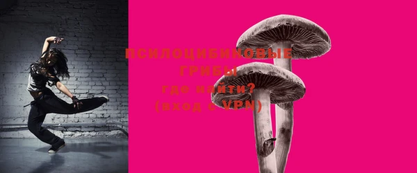 PSILOCYBIN Бронницы