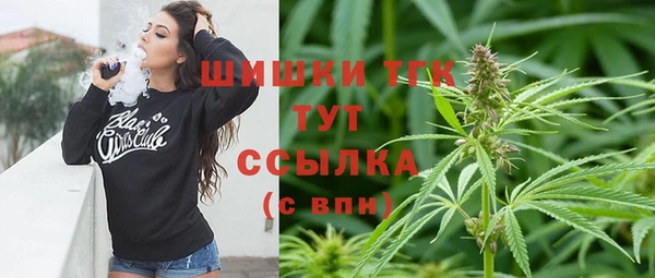 2c-b Бородино